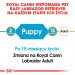 RC-BHN-PuppyLabradorRetriever-CM-EretailKit-1-pl_PL.jpg