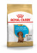 PU_DACHSHUND_PACKSHOT_BHN18_Med._Res.___Basic.png