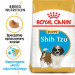 RC-BHN-PuppyShihTzu-MV-EretailKit-pl_PL.jpg