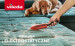 AMZ_A_pet-brush-banner_970x600.jpg