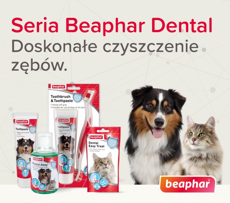 Beaphar dental