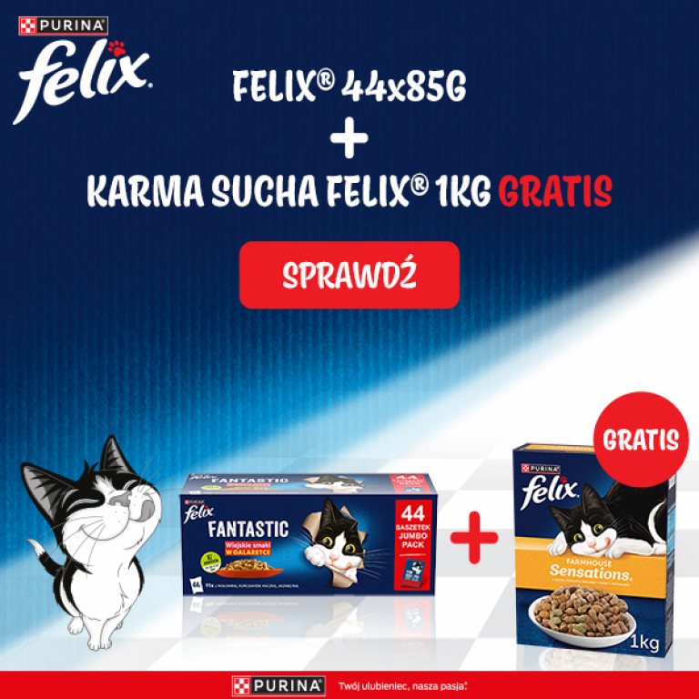 Felix