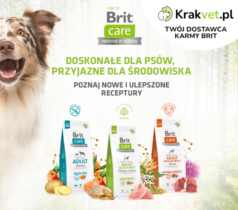 Nowy Brit Care