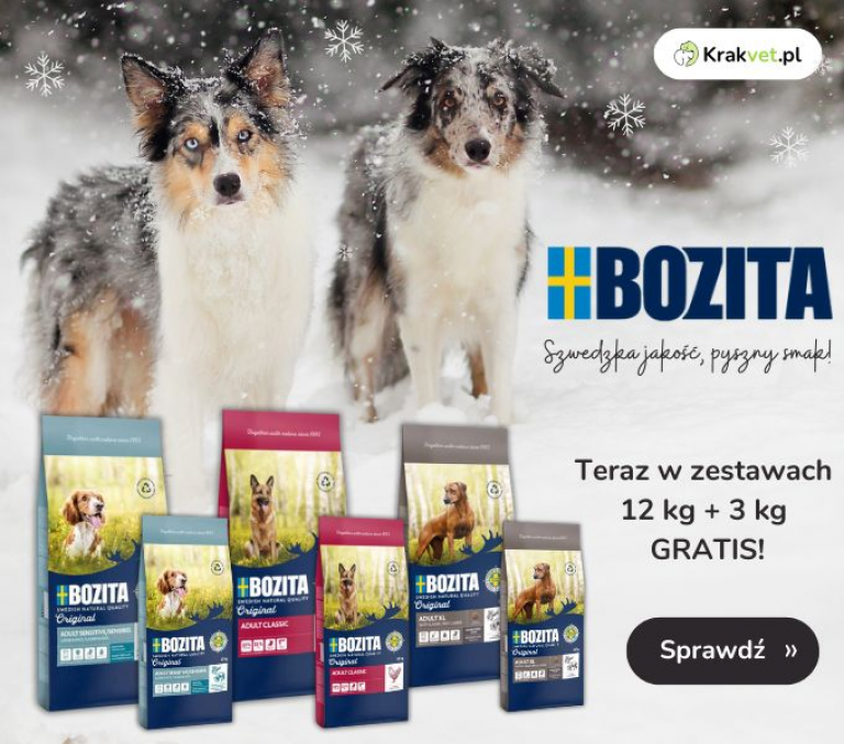 Bozita