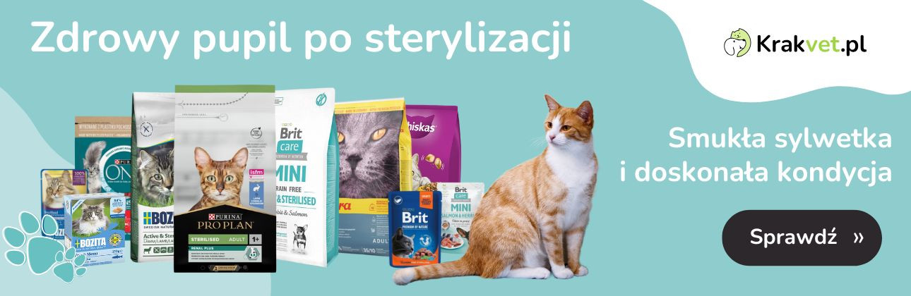 [PROMOCJE] Sterylizacja