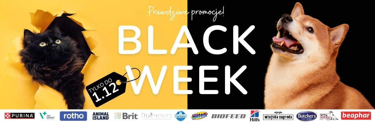 [PROMOCJE] Black week promocja