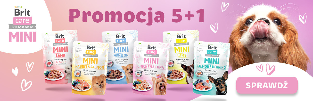 [PROMOCJE] Brit