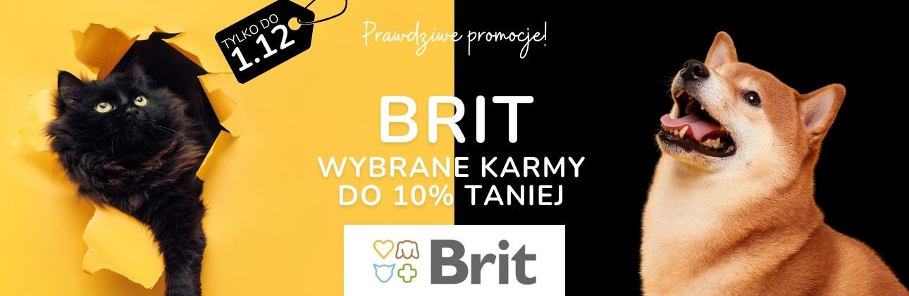 [PROMOCJE] Black week Brit