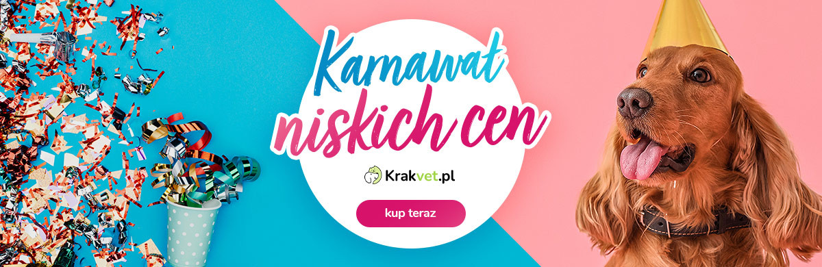 [PROMOCJE] Karnawał