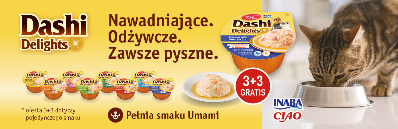 [PRODUCENT] Inaba dashi promocja