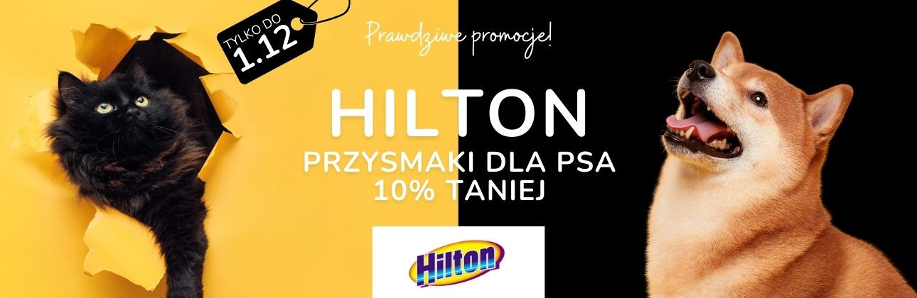 [PROMOCJE] Black week Hilton