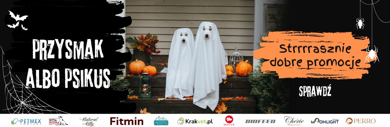 [PROMOCJE] Halloween